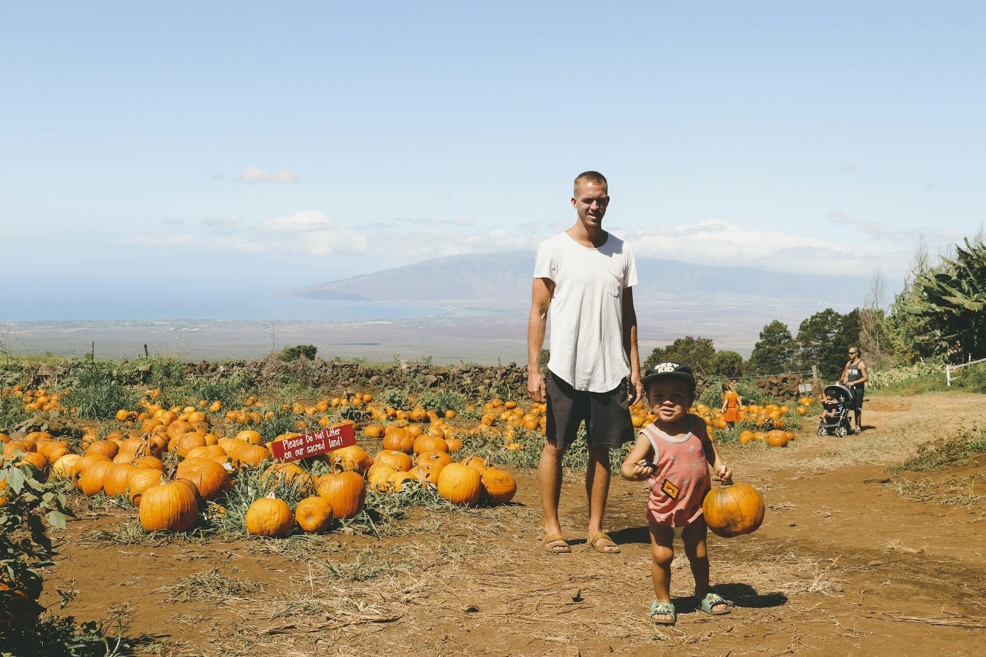 A dad and his little girl walking through a pumpkin field